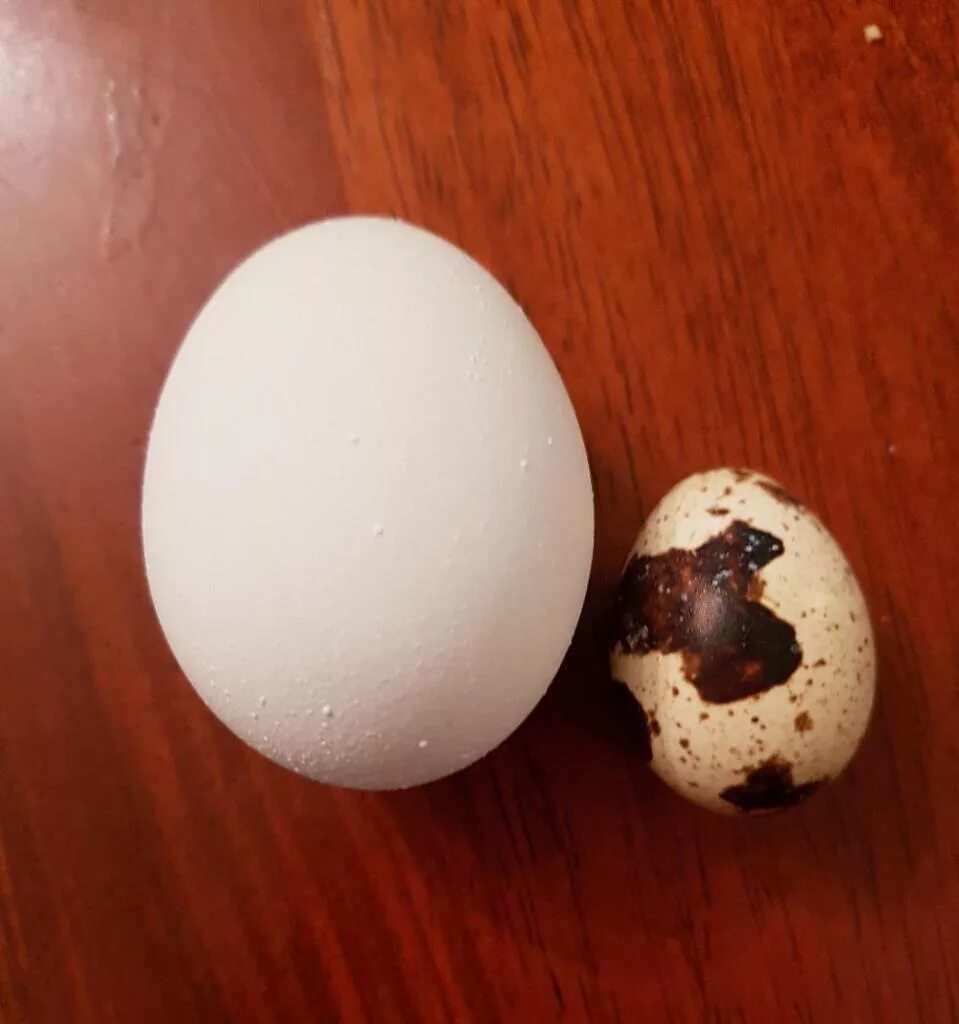 1 куриное яйцо сколько перепелиных