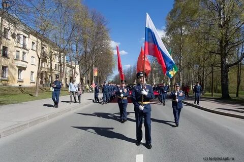 Погода в зеленогорске на день