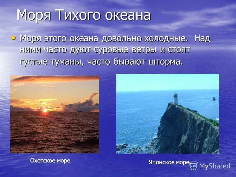 Тема тихий океан. Океан моря Тихого океана. Моря Тихого океана России. Презентация на тему море. Тихий океан презентация.