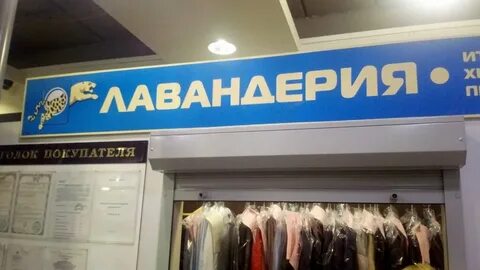 Химчистка лавандерия