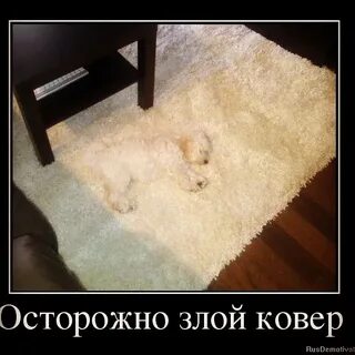Вызвать на ковер
