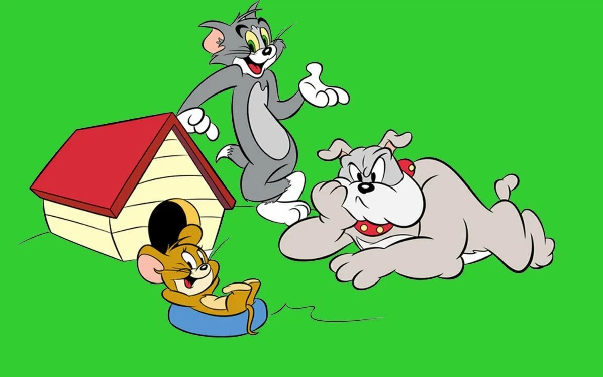 Tommy jeryh. Том и Джерри Спайк и Тайк. Том и Джерри Tom and Jerry. Герои из мультика том и Джерри.