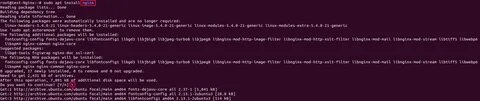 Npm warn