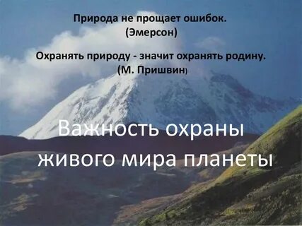 Почему говорят что природа не прощает ошибок