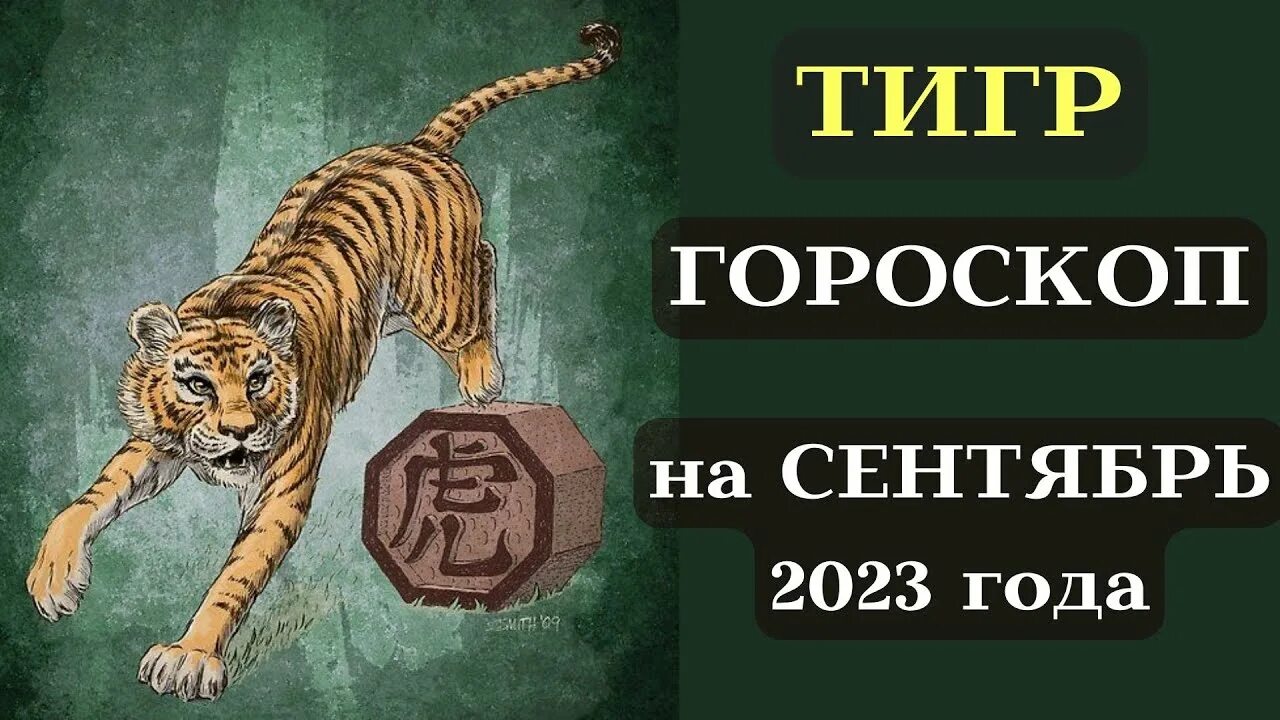 Гороскоп тигр апрель 2024. Тигр гороскоп. Тигр знак зодиака. Канал тигра. Как стать тигрицей психология.