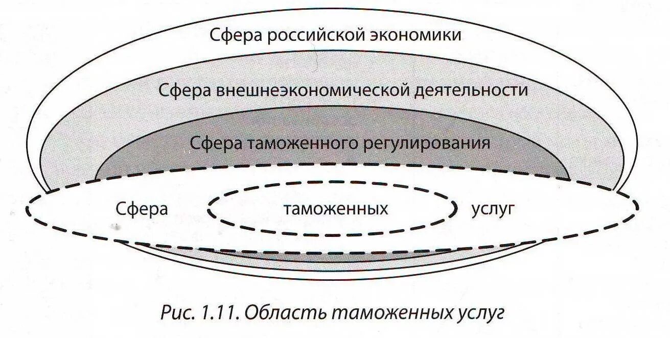 Сфера таможенных услуг. Сфера таможенных услуг. Таможенные услуги список. Сфера таможенных услуг. Принцип транспарентности вто.