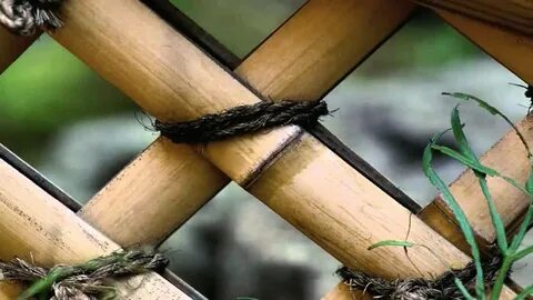 Природа связанное между собой