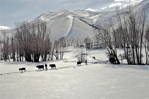 Cold country