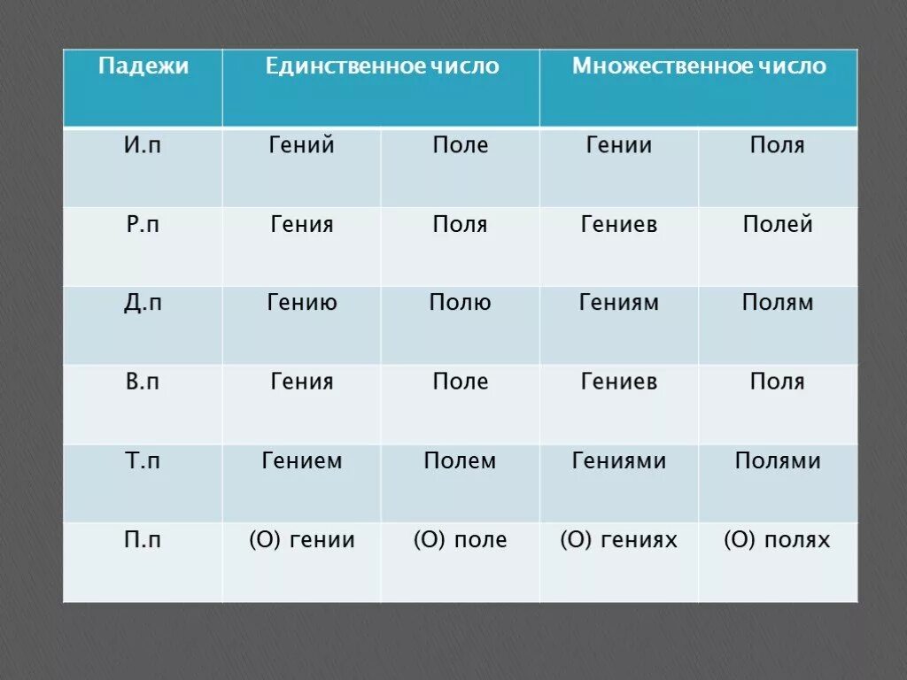 Падежи в единственном числе