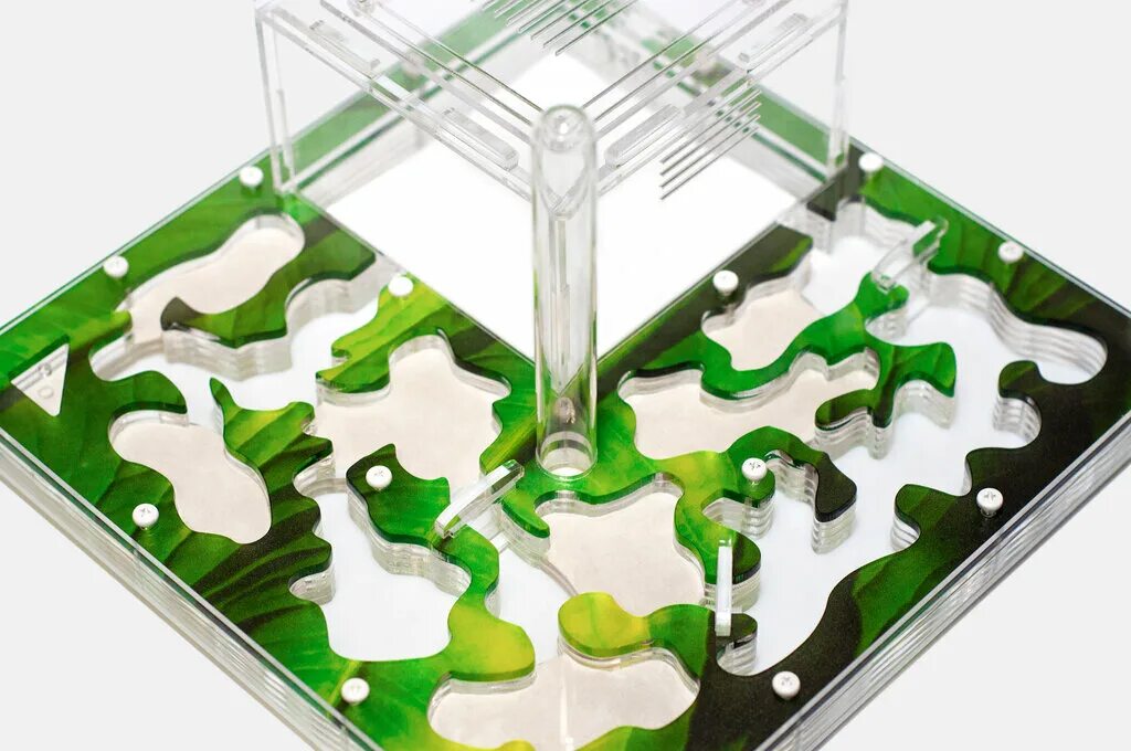 муравьиный кальций. самая большая муравьиная ферма в мире. муравьиная ферма (13x11x3 см). муравьиная ферма "эко dark". формикарий для муравьев с муравьями.