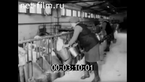 Саратовская калининский казачка погода