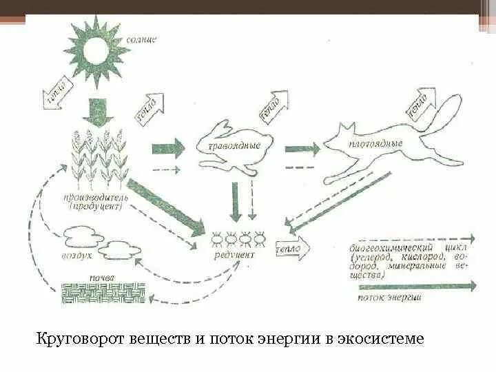 Изготовить модель демонстрирующую круговорот веществ 3 класс. Раскраска круговорот веществ в природе 3 класс. схема круговорота веществ в природе раскраска. круговорот веществ 3 класс раскраска. модель схема«круговорот веществ в природе».