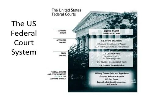 Court system
