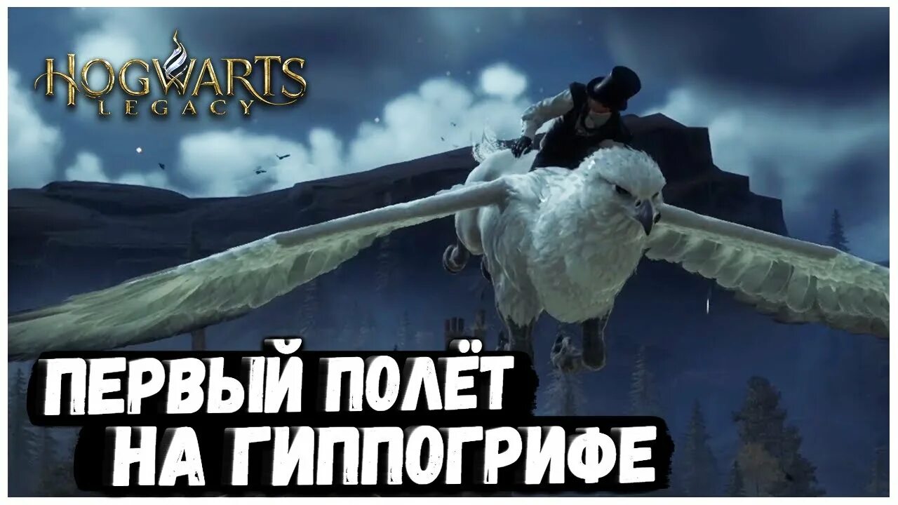 Хогвартс легаси скриншоты полет. Hogwarts legacy полеты. Летал легаси. Хогвартс легаси летающие животные. Hogwarts legacy игра.