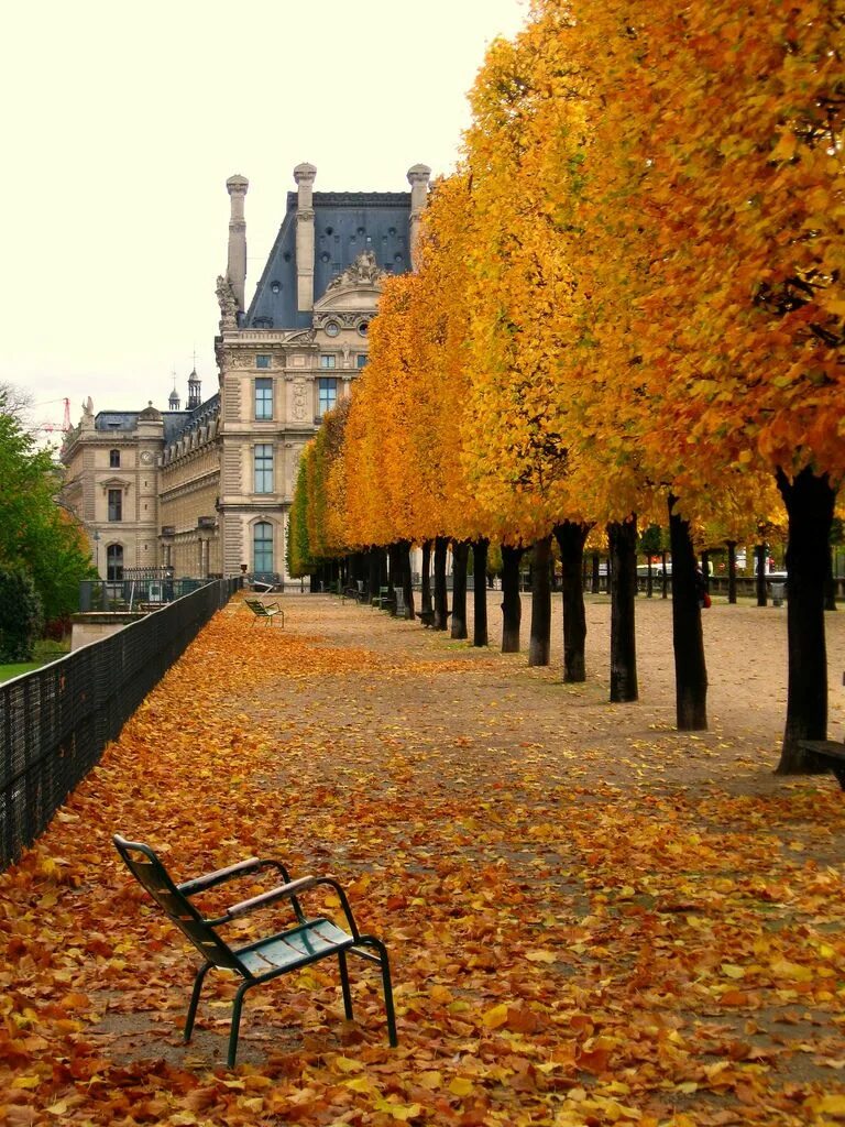Осенний париж. Сад тюильри осенью. Эйфелева башня астана. Эйфелева башня в париже. Paris fall.