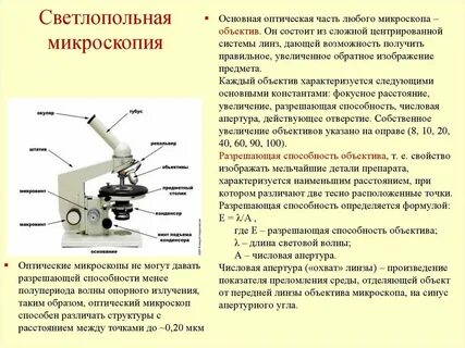 Как определить увеличение которое дает световой