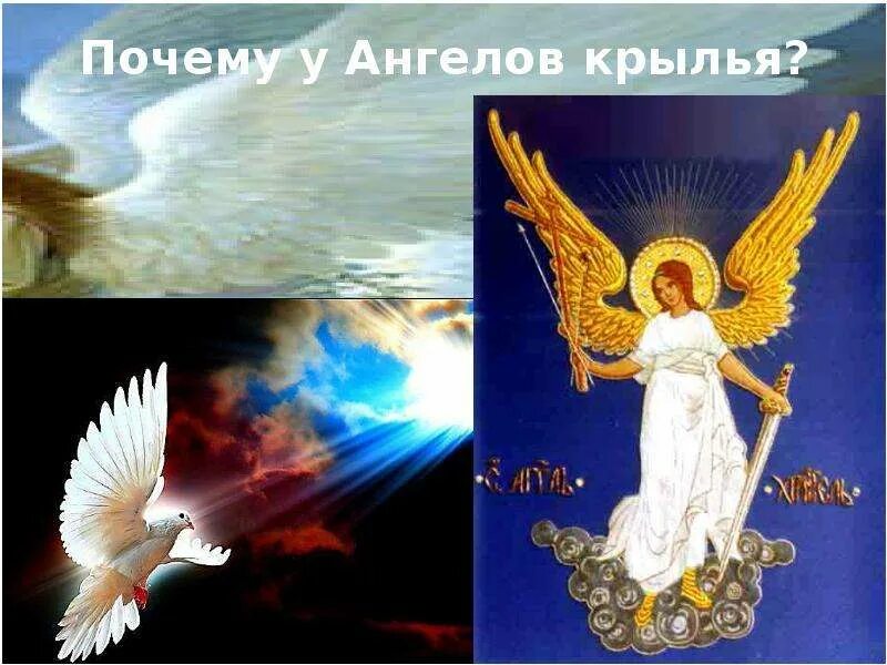 Сто ангелов. Сто ангелов. Откуда появились ангелы. Ангел на земле. Как ангелы относятся к людям.