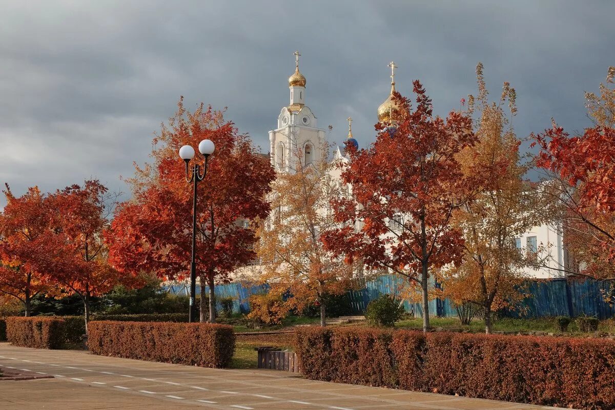 сквер октябрь самара. ростов на дону осенний парк на вятской. парк осенний ростов-на-дону. осенний рост. парк плевен ростов-на-дону.