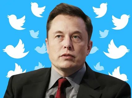 Elon musk twitter