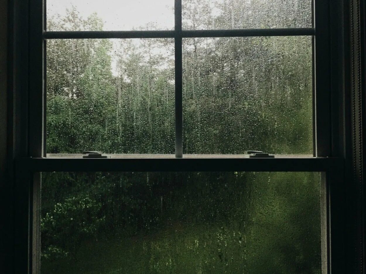 Окно в окне на андроид. Дождь за окном. Вид из окна дождь. Природа за окном. Дождь в окне.