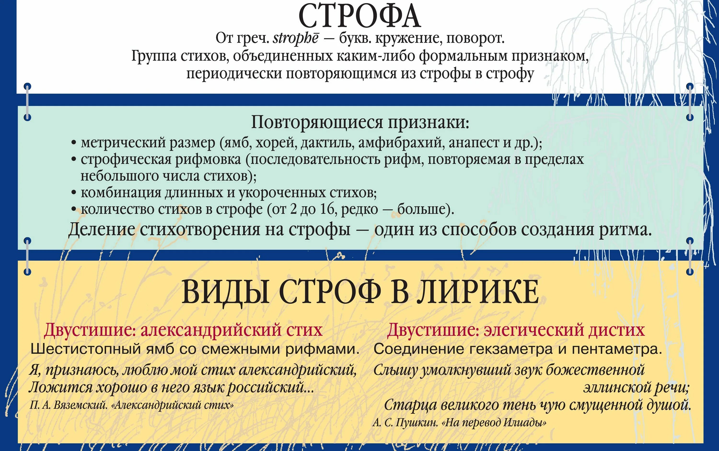 Термин в поэзии. Виды строф. Строфа это в литературе. Типы строф в стихотворении. Литературные строфы виды.