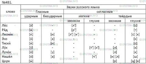 Русский язык 6 класс 481