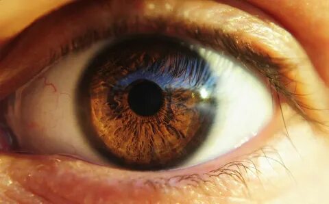 Some eye