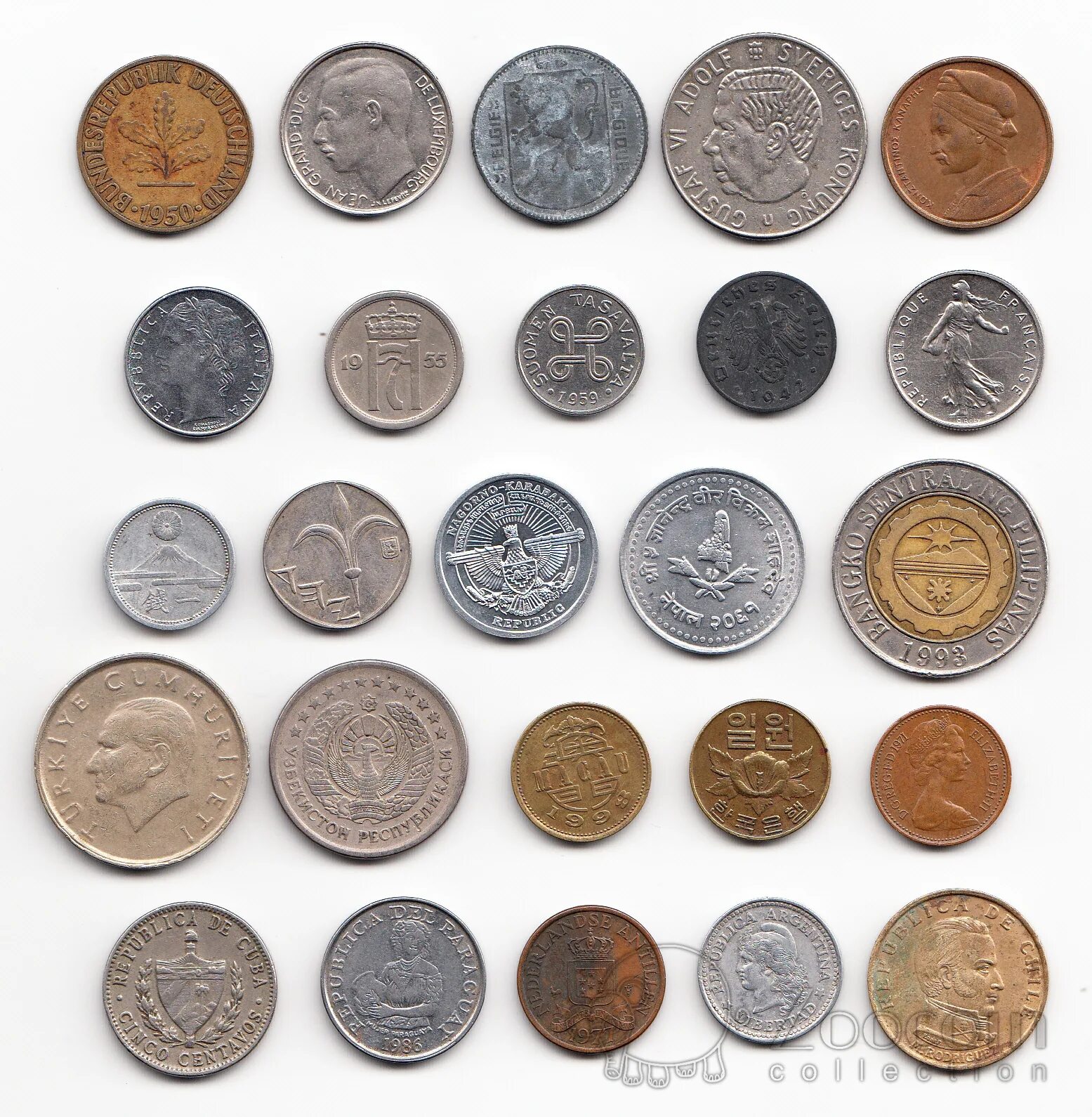 Zoocoin монет в спб