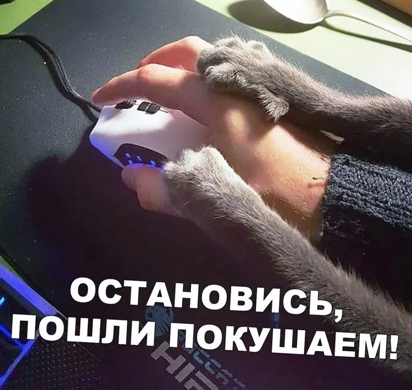 Пошла поесть