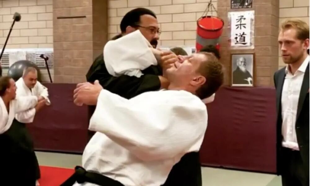 Сигал айкидо видео. Сигал айкидо видео