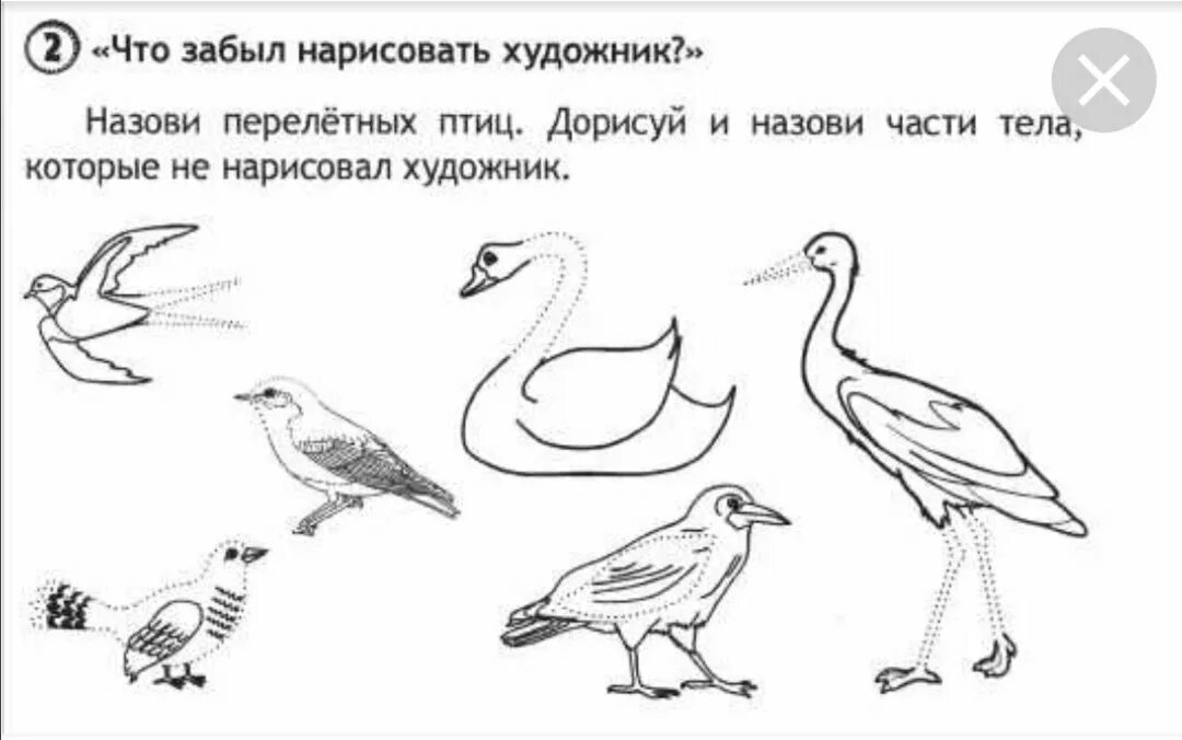Перелетные птицы для детей подготовительной группы. Зимующие птицы логопедические задания для дошкольников. логопедическое домашнее задание перелётные птицы для дошкольников 5-6. теремкова перелетные птицы задания для дошкольников. перелетные птицы задания для детей 7 лет.
