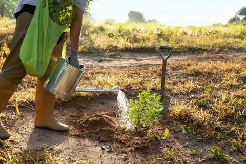 I like planting