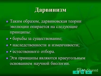 Понятия и определения эволюция