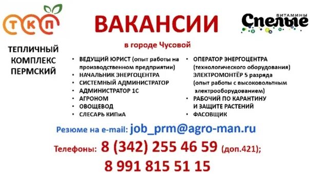 Пермь работа свежие вакансии для мужчины. Подработка в Лысьве. Работа в Чусовом. Чусовой Пермский край вакансии работа. Вакансии в Лысьве.