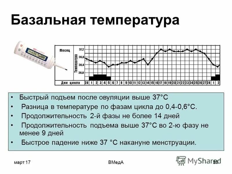 Овуляция после 35. Измерение базальной температуры производят для определения. Базальная температура перед месячными. Измерение базальной температуры для определения овуляции график. Базальная температура норма.