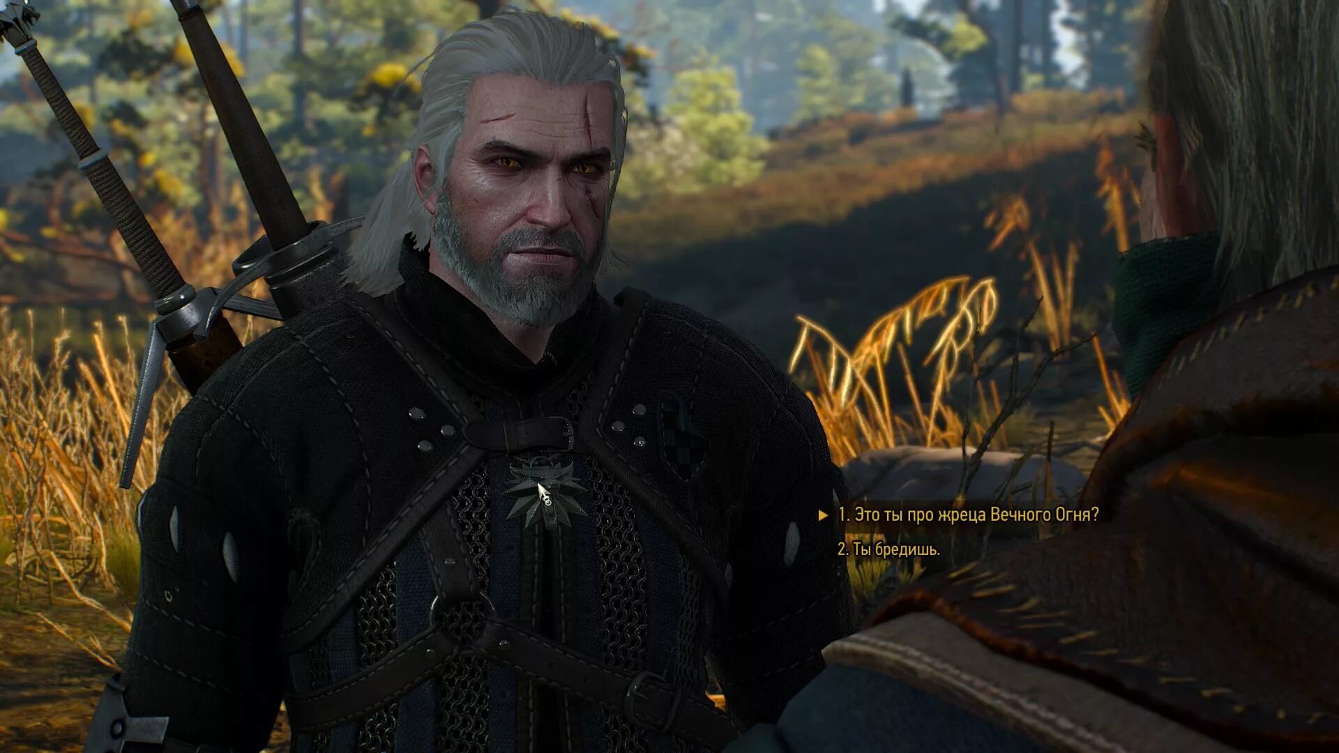 Хронология ведьмака сериал. Таймлайн сериала ведьмак. The witcher 1. Ведьмак сюжетные линии. Хиндарсфьялл ведьмак 3.