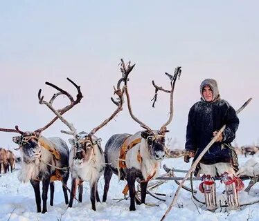 Сайт ямал