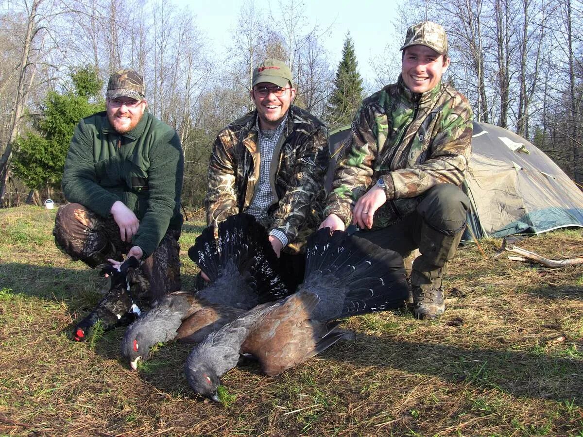 Spring hunting