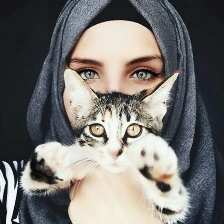 Мусульманский кот. Мусульманка с кошкой. Кошка в хиджабе. Девушка в хиджабе с котом. Мусульманские девушки с кошками.