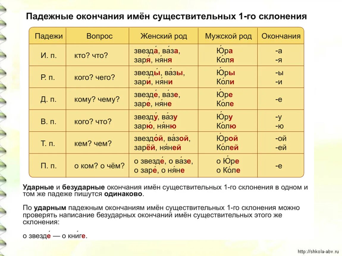 Падежи слова программа. Падежные окончания имен существительных 1 склонения. Падежные окончания имён существительных 1 склонения таблица. Падежи окончания имен существительных 1 склонения. Падежные окончания имён существительных первого склонения.