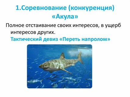 Соревнование конкуренция это
