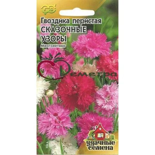 Гвоздика шабо пикоти сказка. Семена гвоздики многолетней. Гвоздика перистая махровая многолетняя. Сказка гвоздик. Гвоздика китайская сказки дюймовочки.