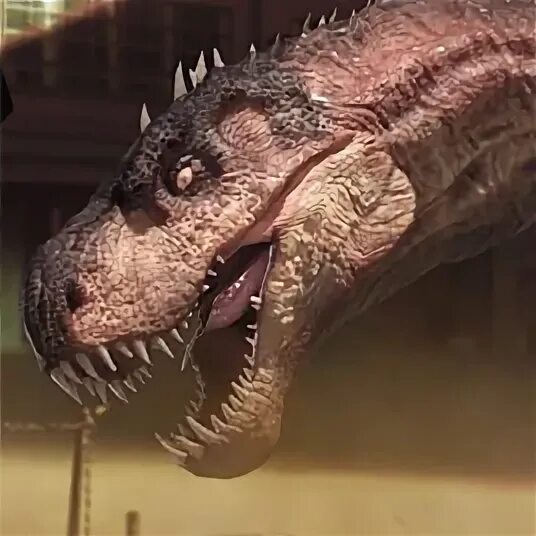 Динозавр рекс играть. Rio rex. фрукт т рекс в бф.
