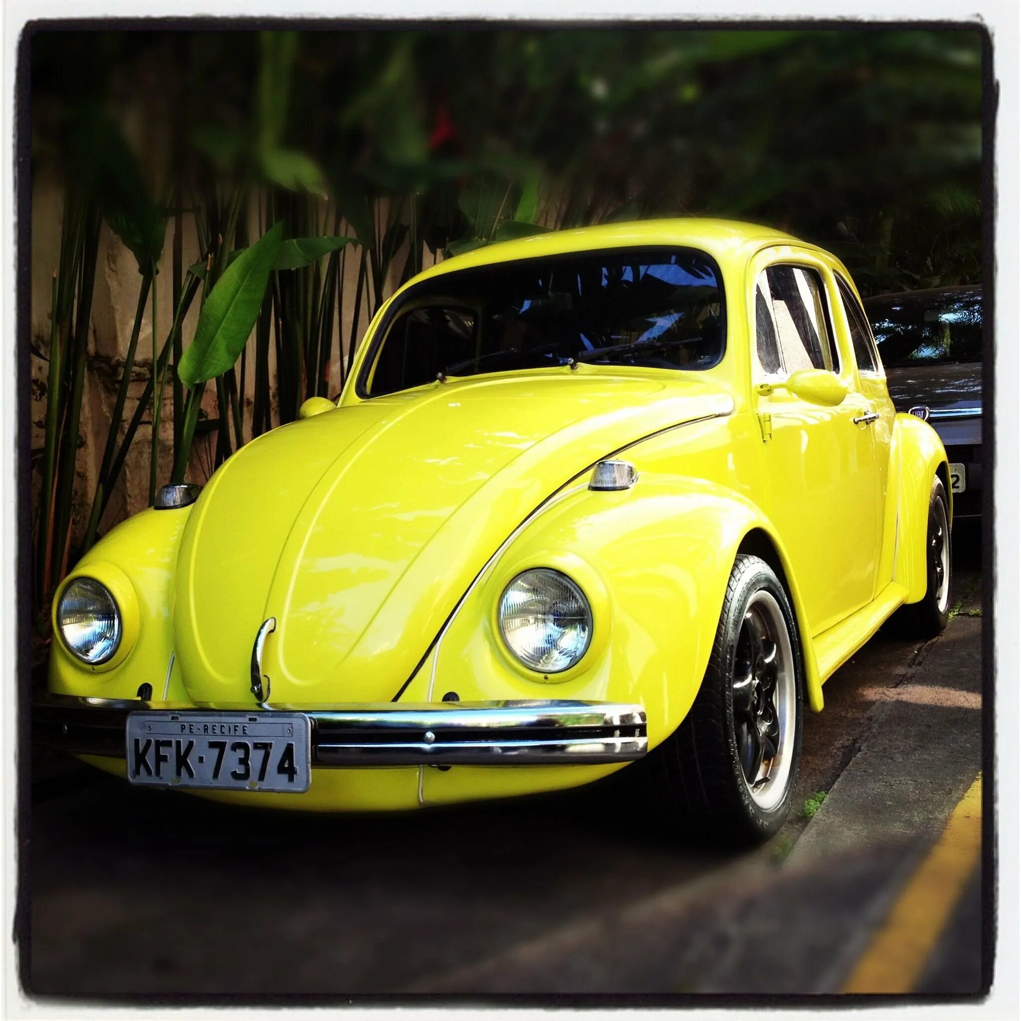 Volkswagen beetle wrap. Фольксваген битл новый. Beetle volkswagen желтый. Фольксваген жук желтый. Фольксваген жук желтый.