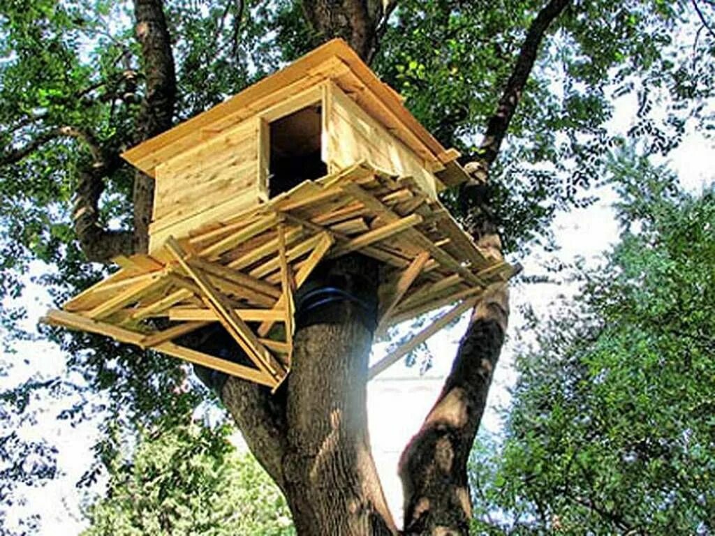 Make a tree house