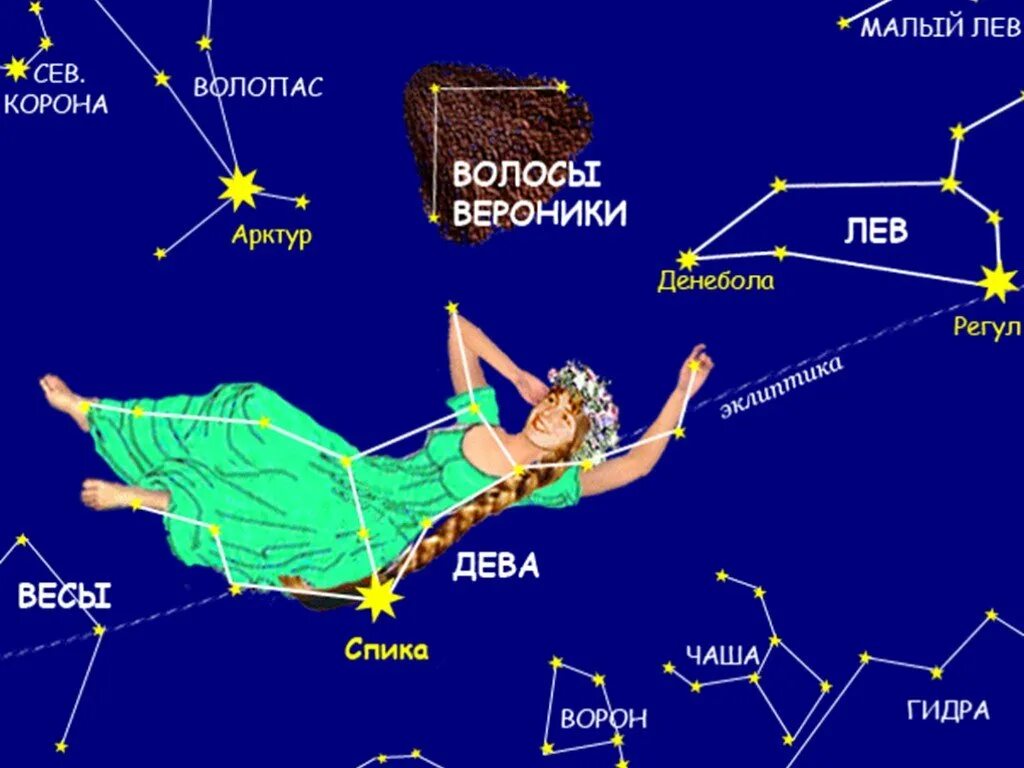 Сколько лет было деве. Как выглядит Созвездие Девы на небе. Созвездие волосы Вероники на карте звездного неба. Зодиакальное Созвездие Дева. Самая яркая звезда в созвездии Девы.