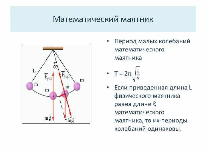 Длина маятника по периоду. Математический маятник схема установки. Как определить период колебаний математического маятника. Формула колебаний математического маятника. Колебания математического маятника схема.