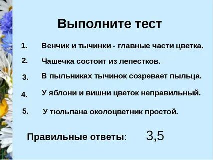 Проверочная работа цветок соцветие плод