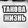 Такова жизнь Мем. Такова жизнь Мем кот. Жизнь такова и больше никакова. Жизнь такова и больше никакова кот