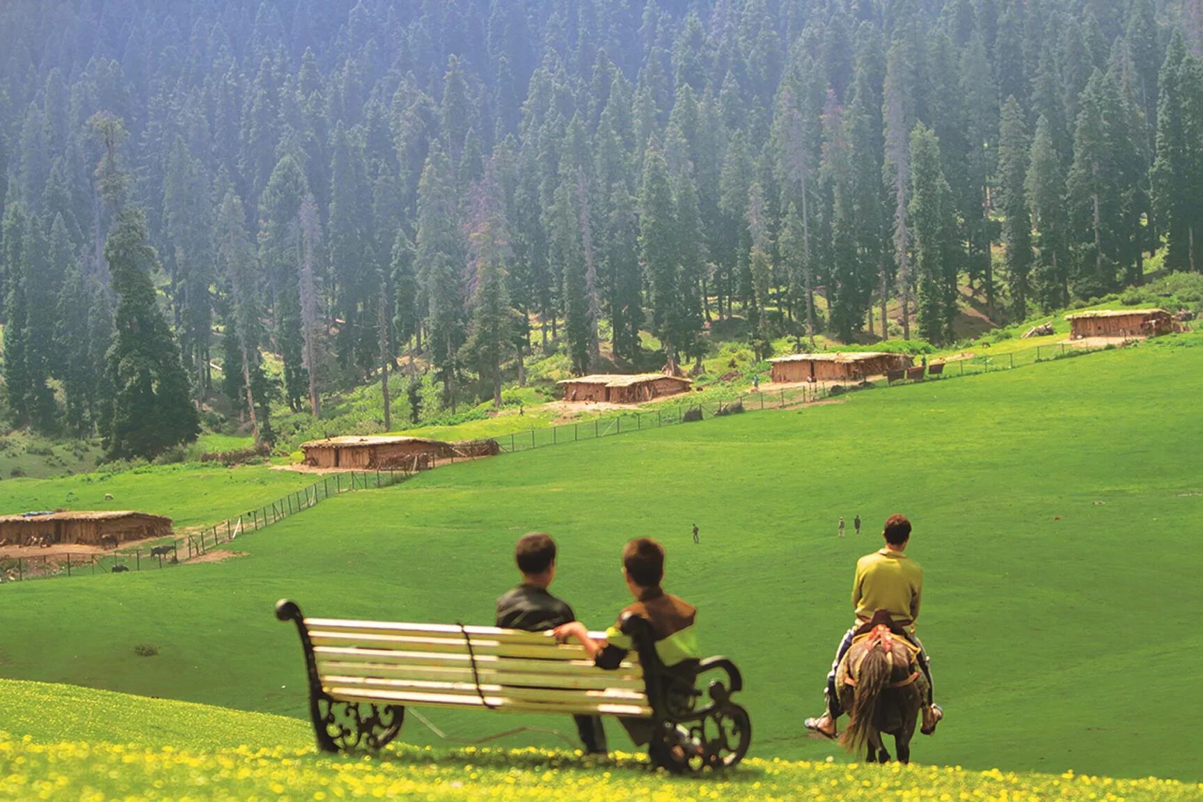 I live in the countryside. Кашмир природа. Кашмир лестница. Деревня дома Кашмир. Summer in the countryside.